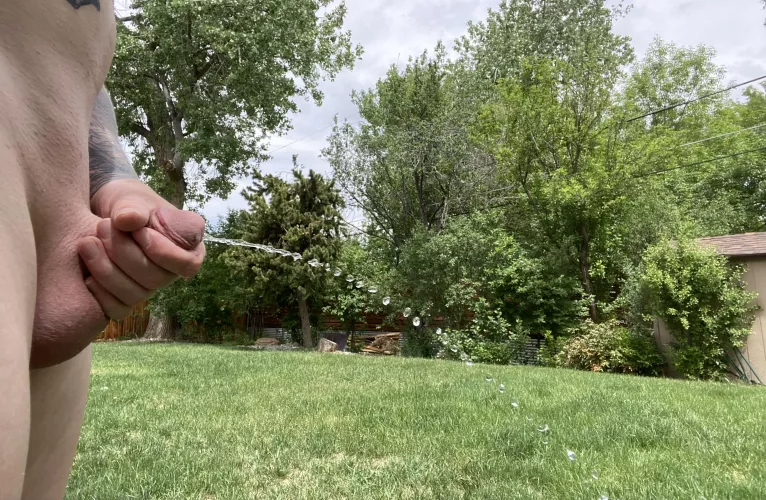 Another day, another piss by cummingtoo