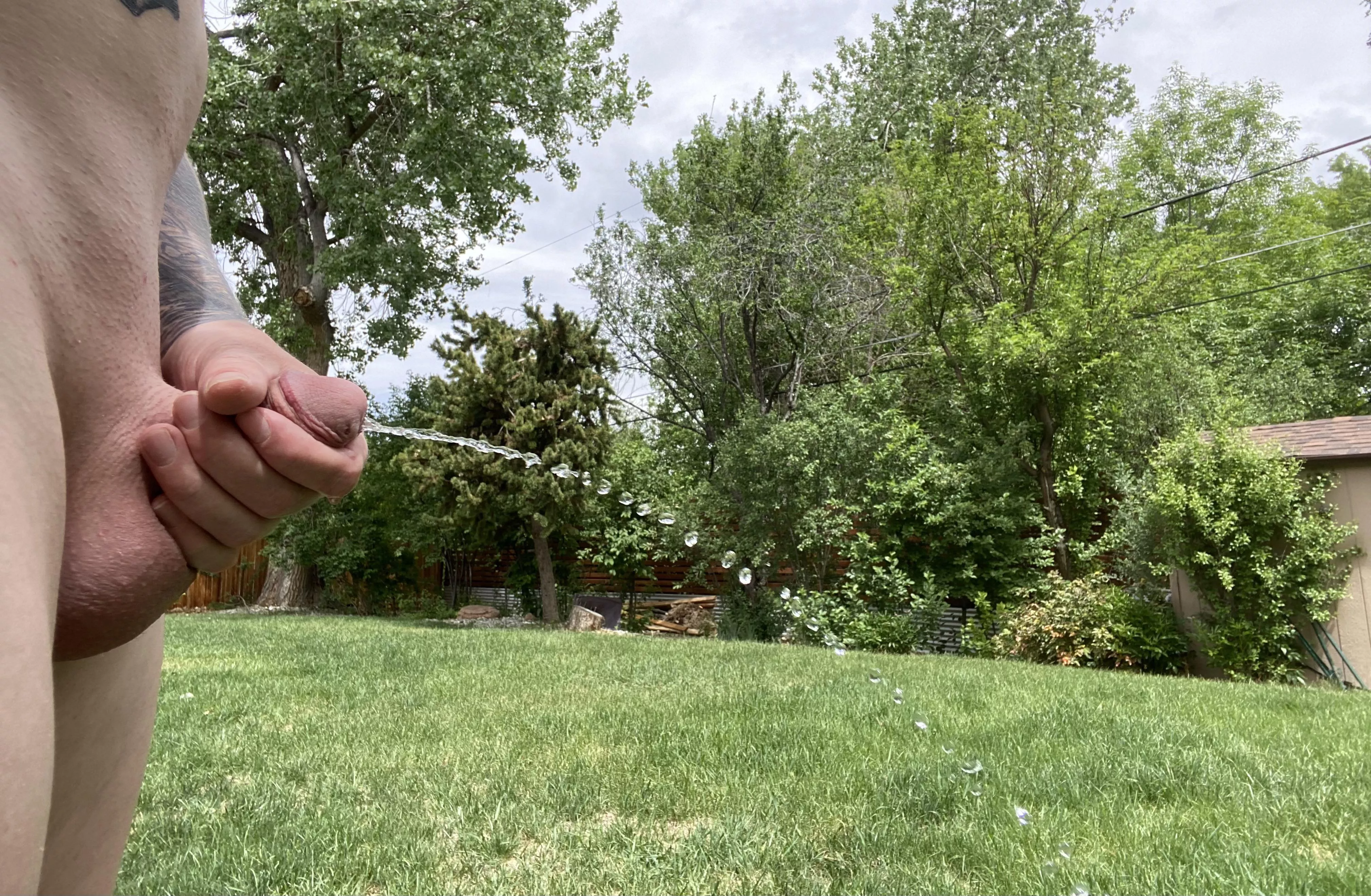 Another day, another piss posted by cummingtoo