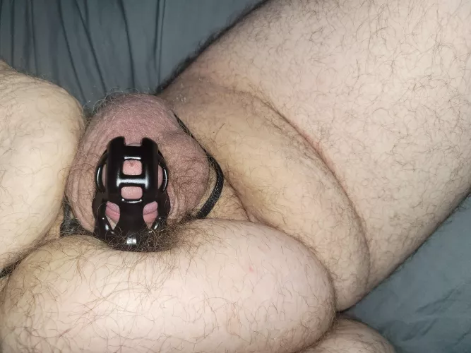 another day down only 15 more to go by tjheim