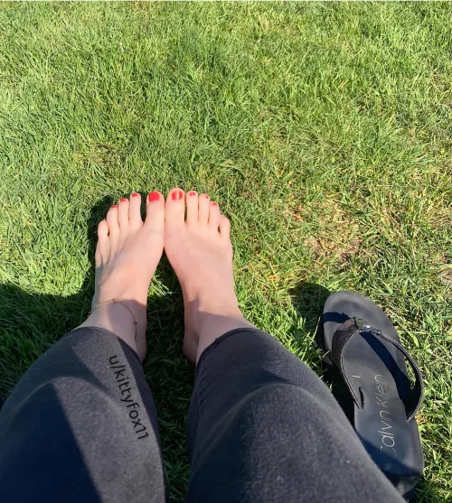 Another from yesterday - these orange cuties are starting to chip, what color should I do next? by kittyfox11