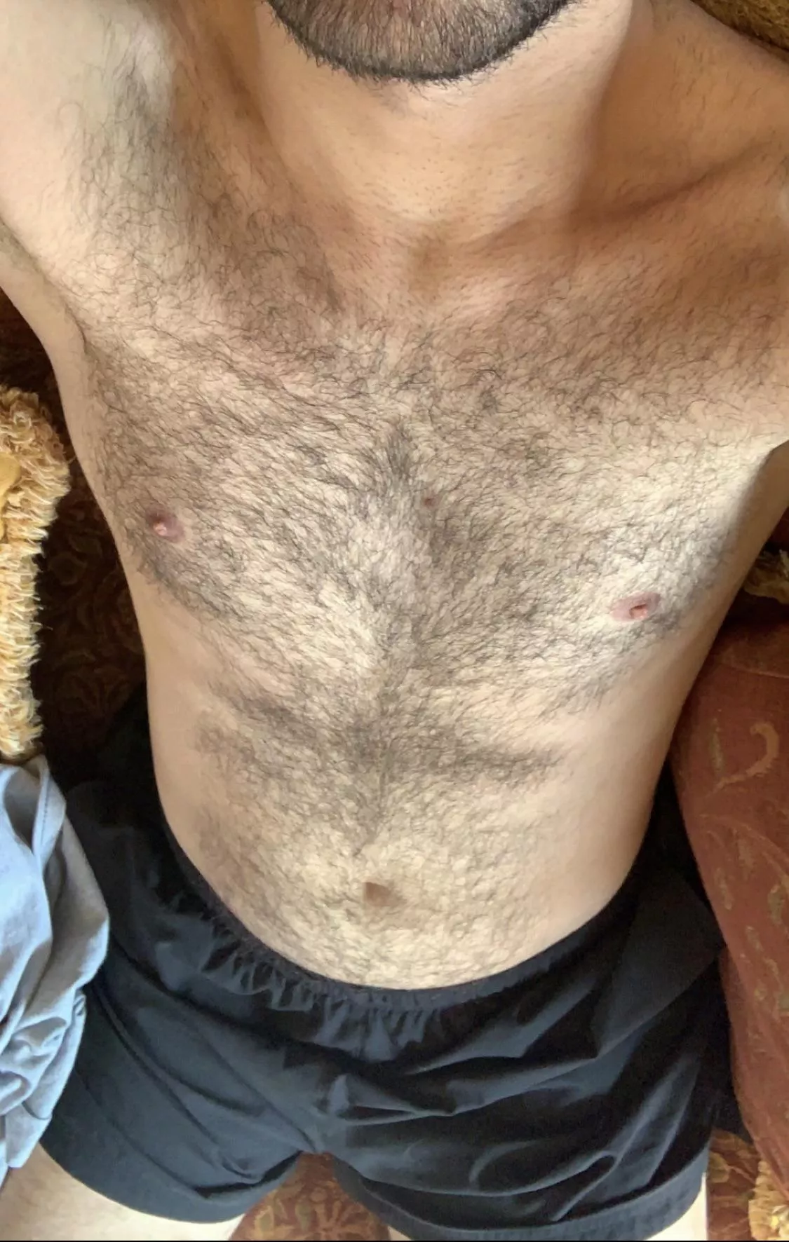 Another hairy chest against mine? SC @sami_kloub posted by ameeroe