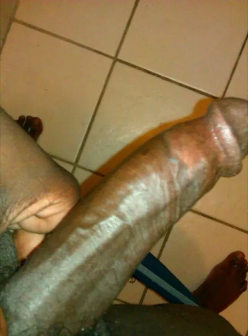 Another morning of this wood by Free_Investigator_94