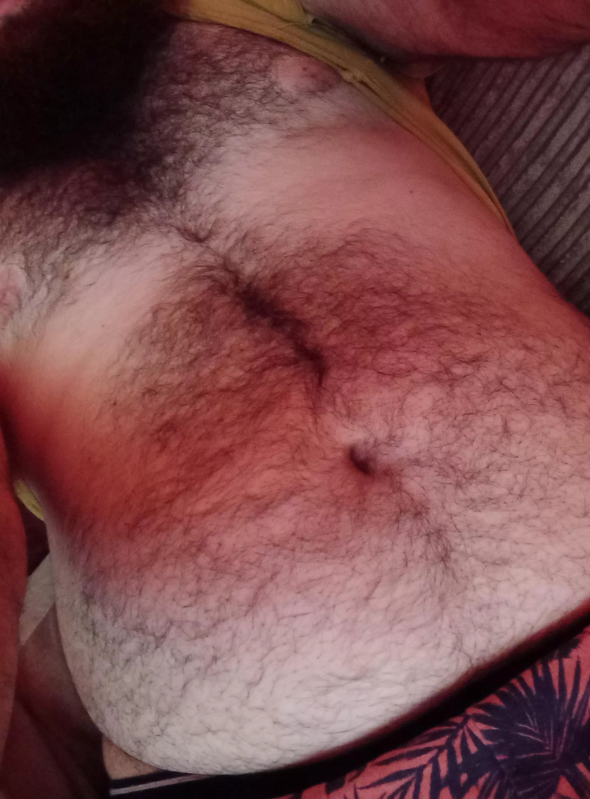 Any Bears wanna get hold of this? posted by soki89