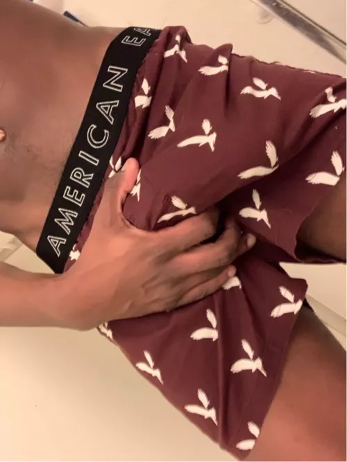 Any boxer lovers? by Michaelparks111