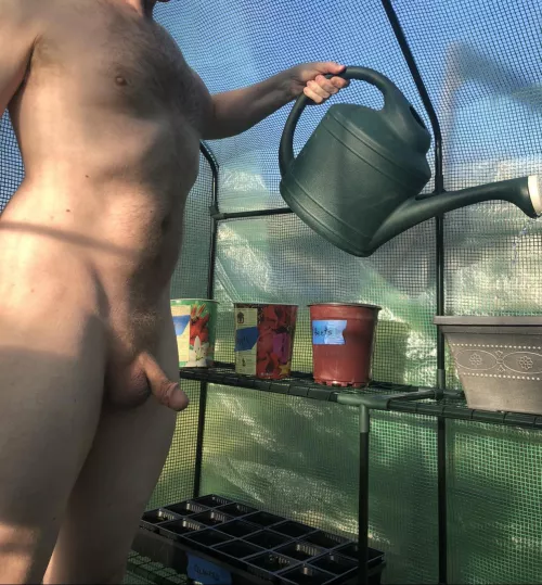 Any day can be World Naked Gardening Day if you BELIEVE 😂😂😂 by NudistAwareness