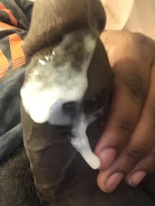 Any females want this inside their pussy by East_Case2600