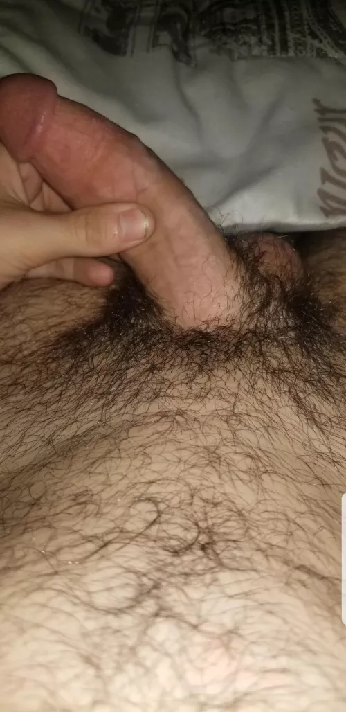 any girls want a virgin dick to try by Agile_Zebra_1185