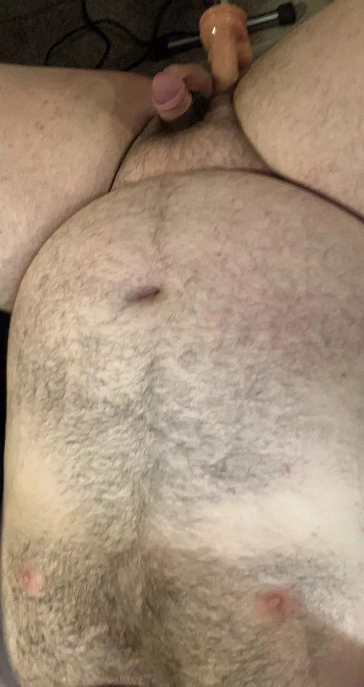 Any horny bears wanna snap? posted by Ajz000