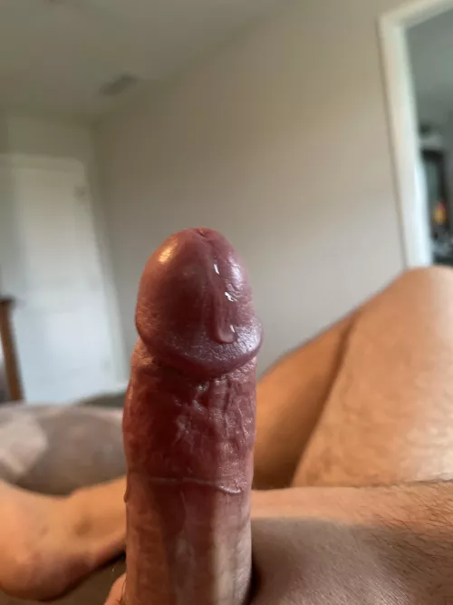 Any ladies wanna help? by Run-Home-Jack-