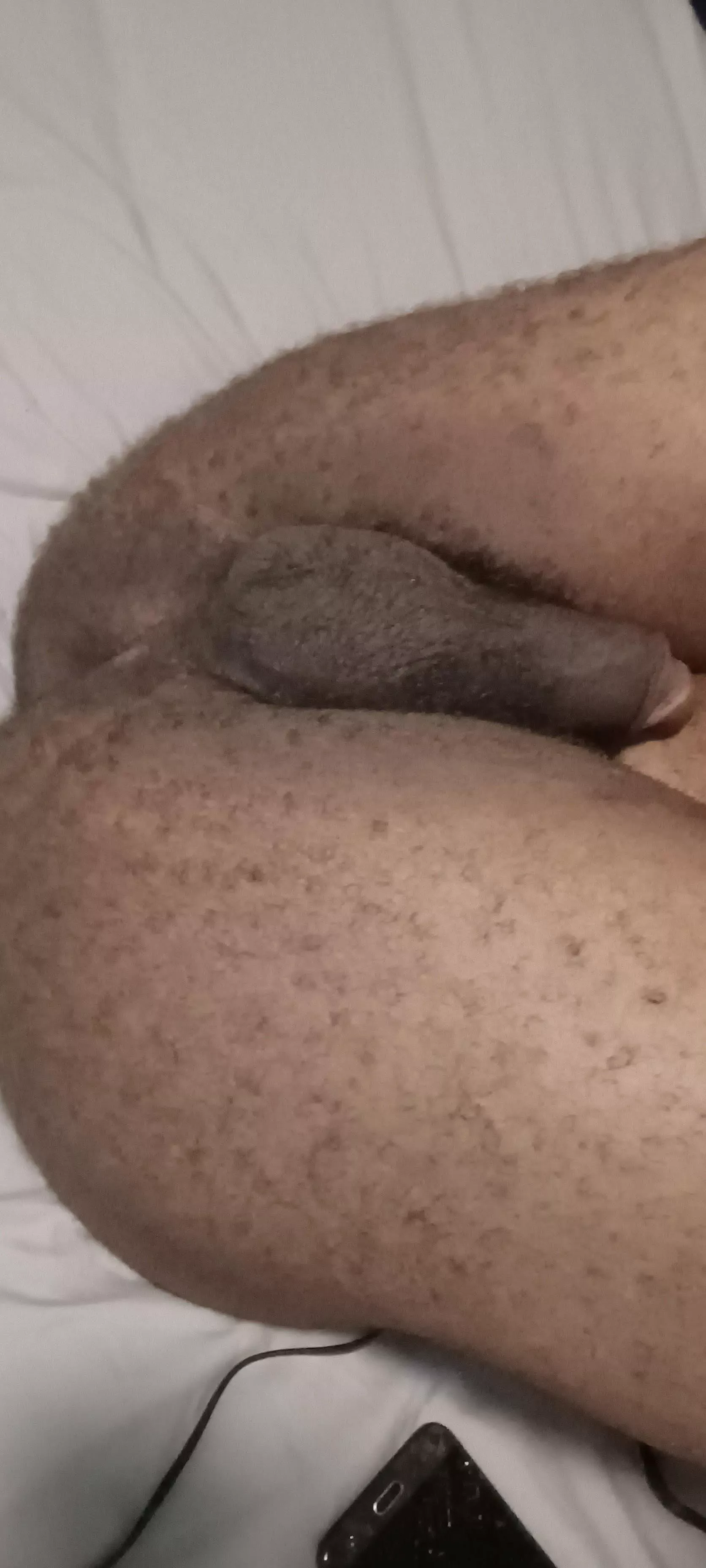 Any love for hairy butts? posted by stupidkid77281