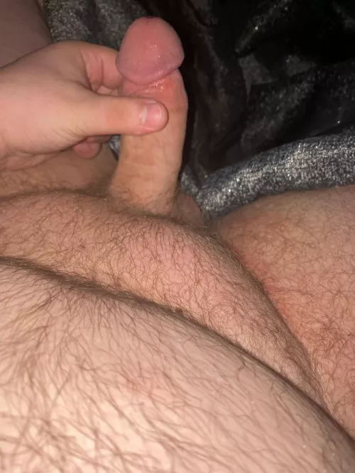 Any love for younger bears? by Still_Cut_1998