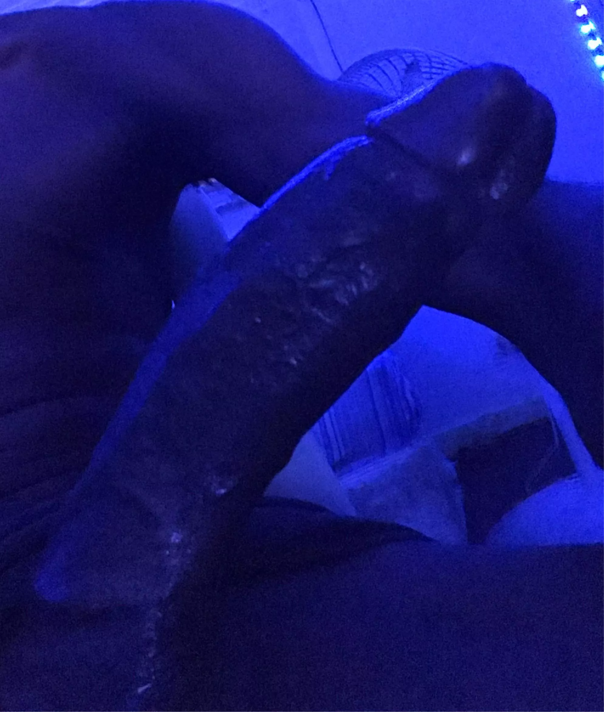 Any Nassau girls?😋 looking for big dick posted by EntrepreneurSome1518