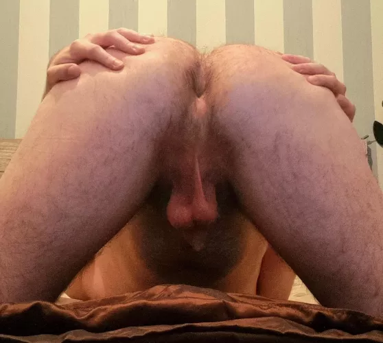 any of y'all wanna ride? by PolarbearPrivates