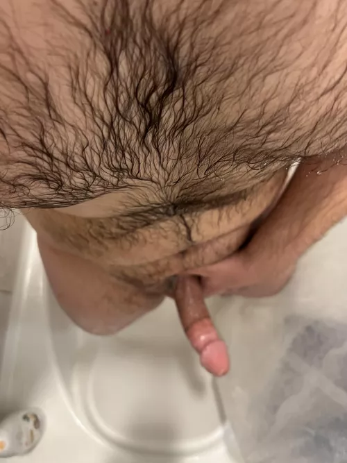 any takers? by Hairbair12