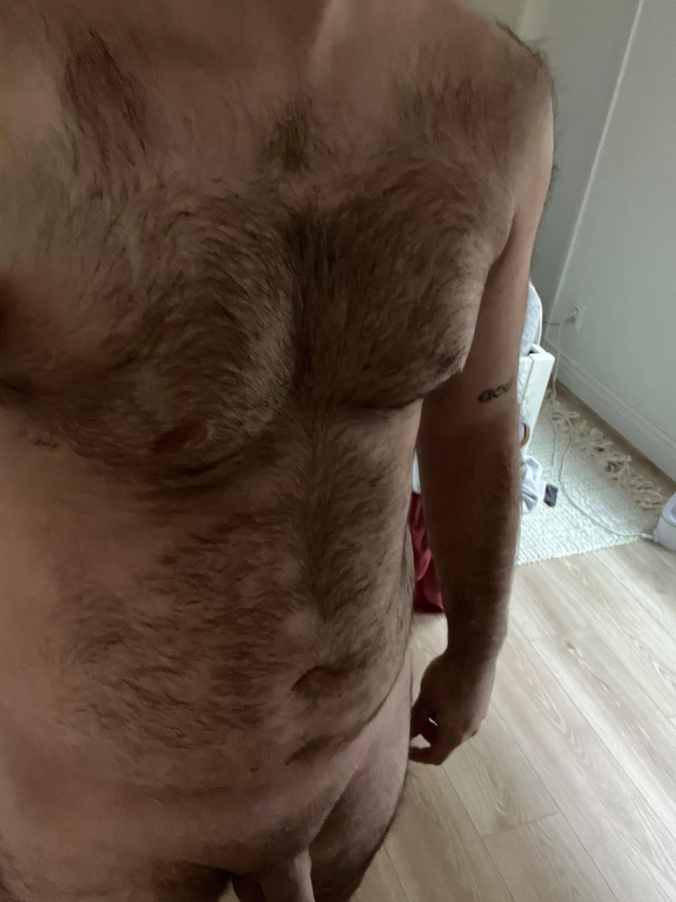 Any takers? M47 posted by Mammoth-Might-1557