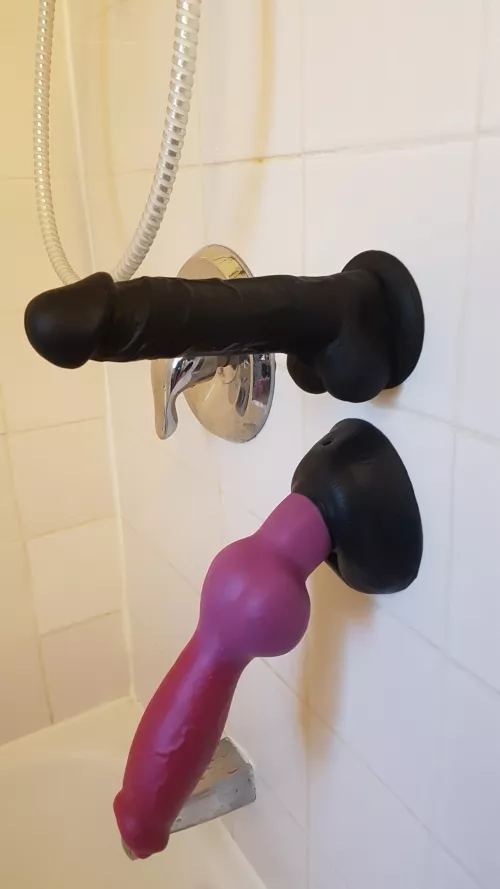 anybody else have their top 2 toys that they bring out to play? by softsuppleandweak