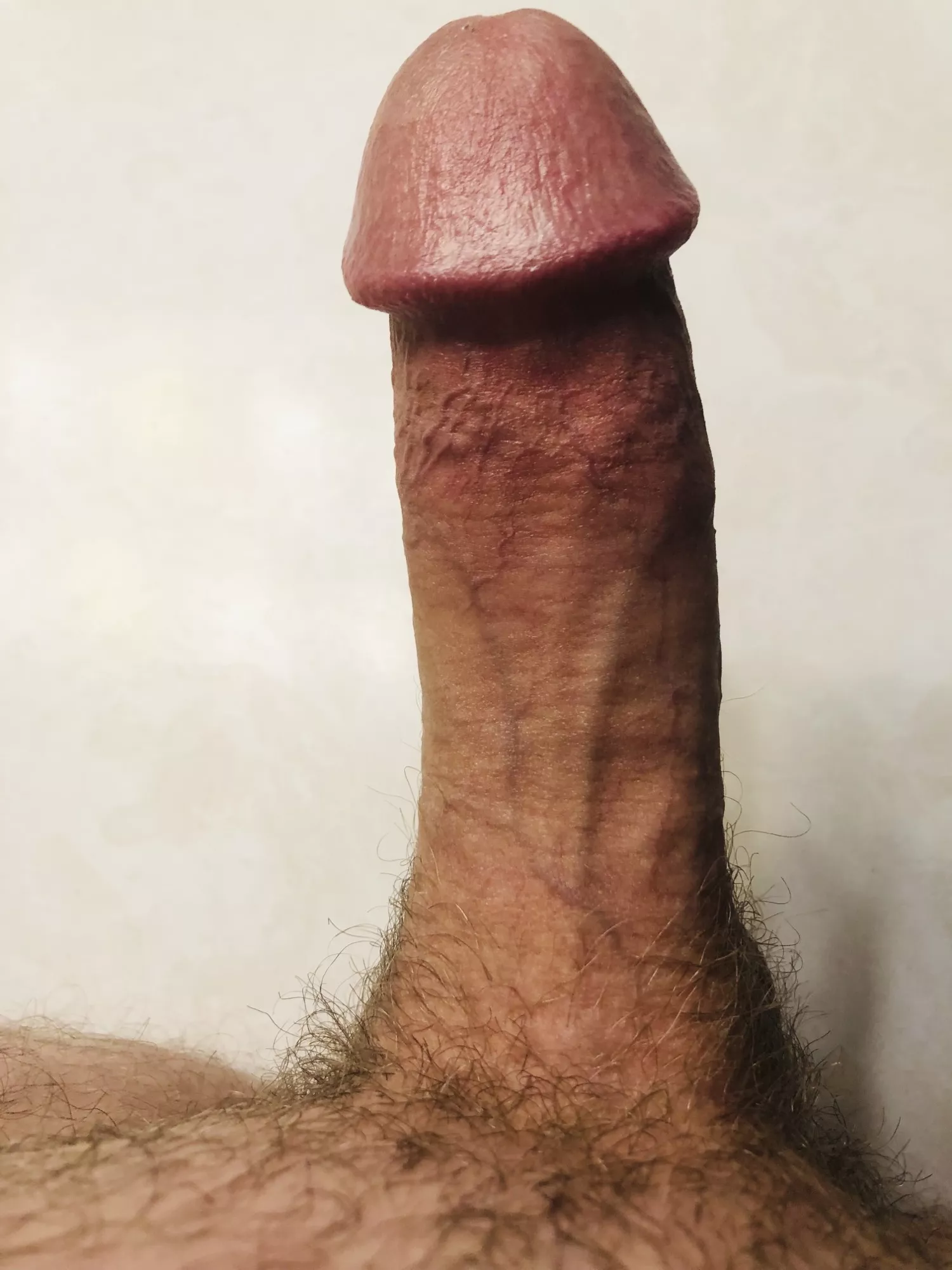 Anybody like it? posted by Difficult_Act_975