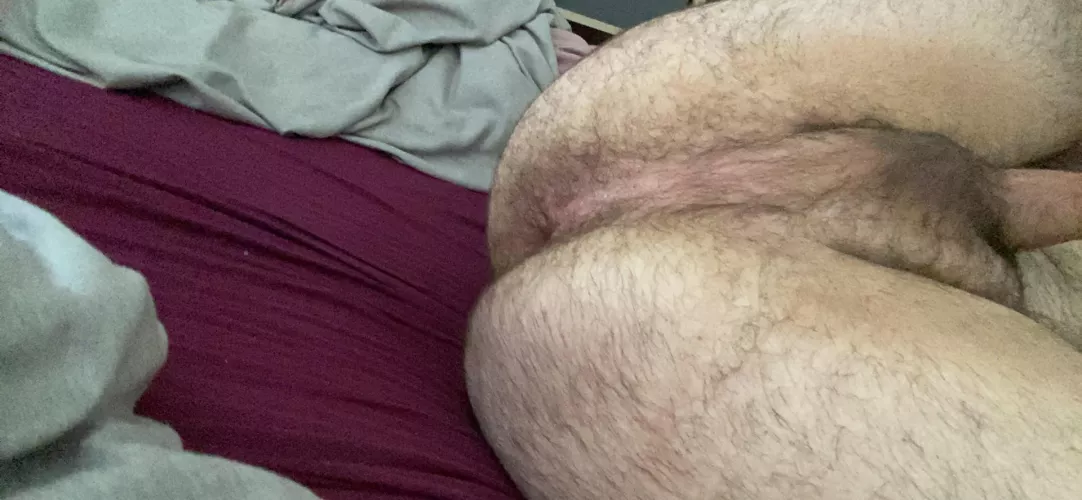 Anybody needs a virgin hairy ass? Dm me by philthebeck