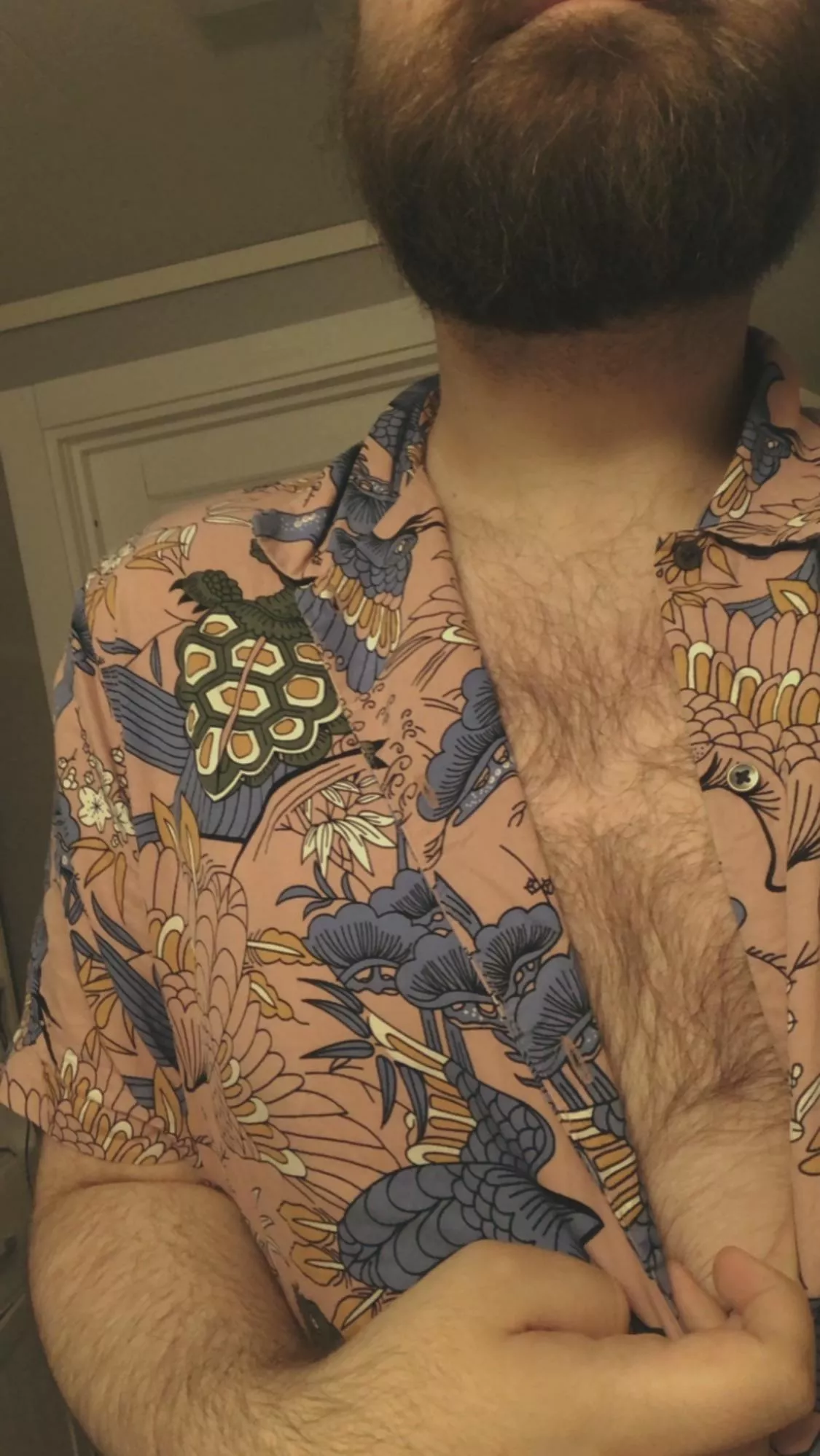 Anyone a fan of hairy chests? Wanna chat? posted by EmotionalAd8237