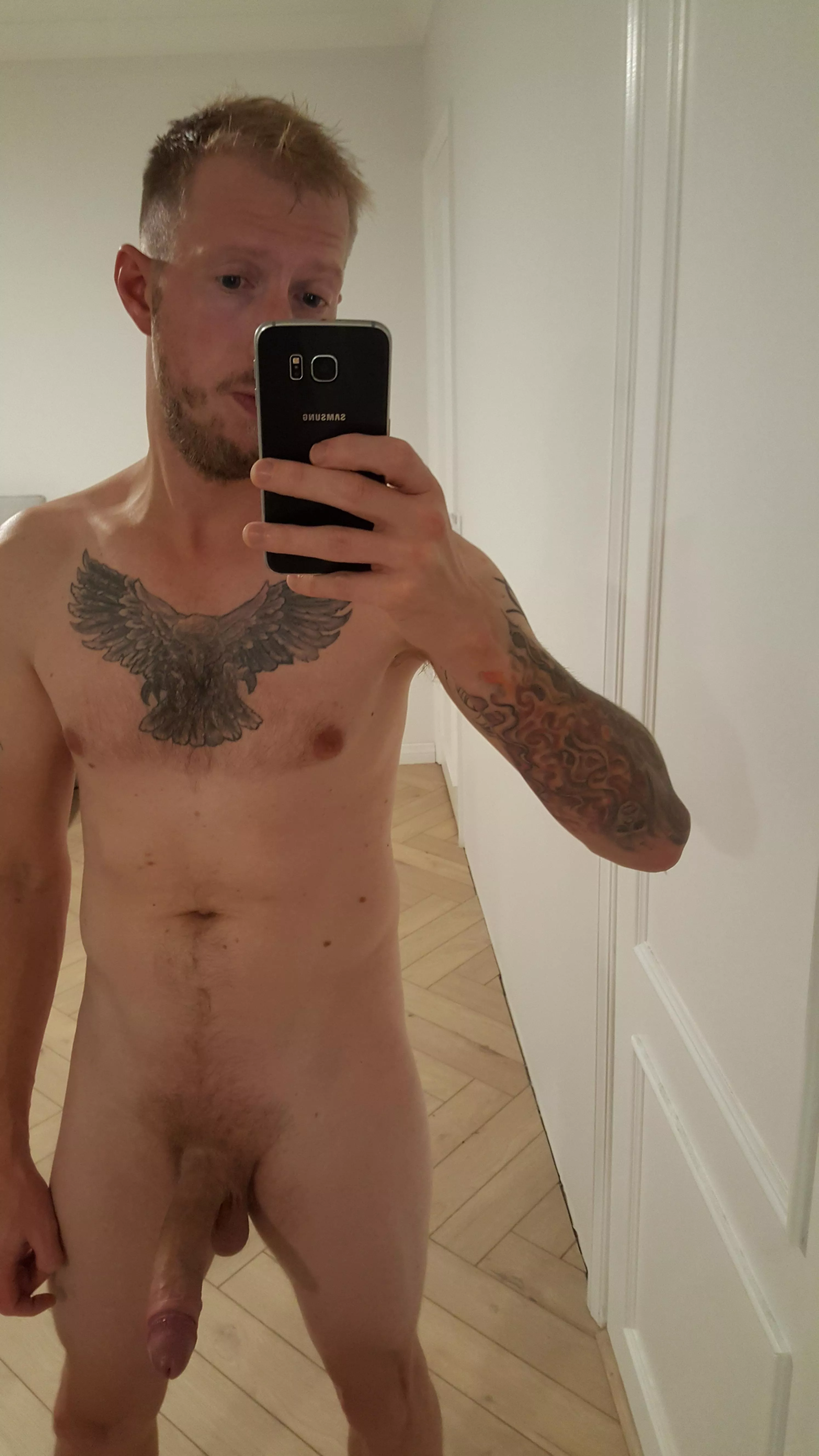 Anyone a fan of ravens? posted by -enigma--