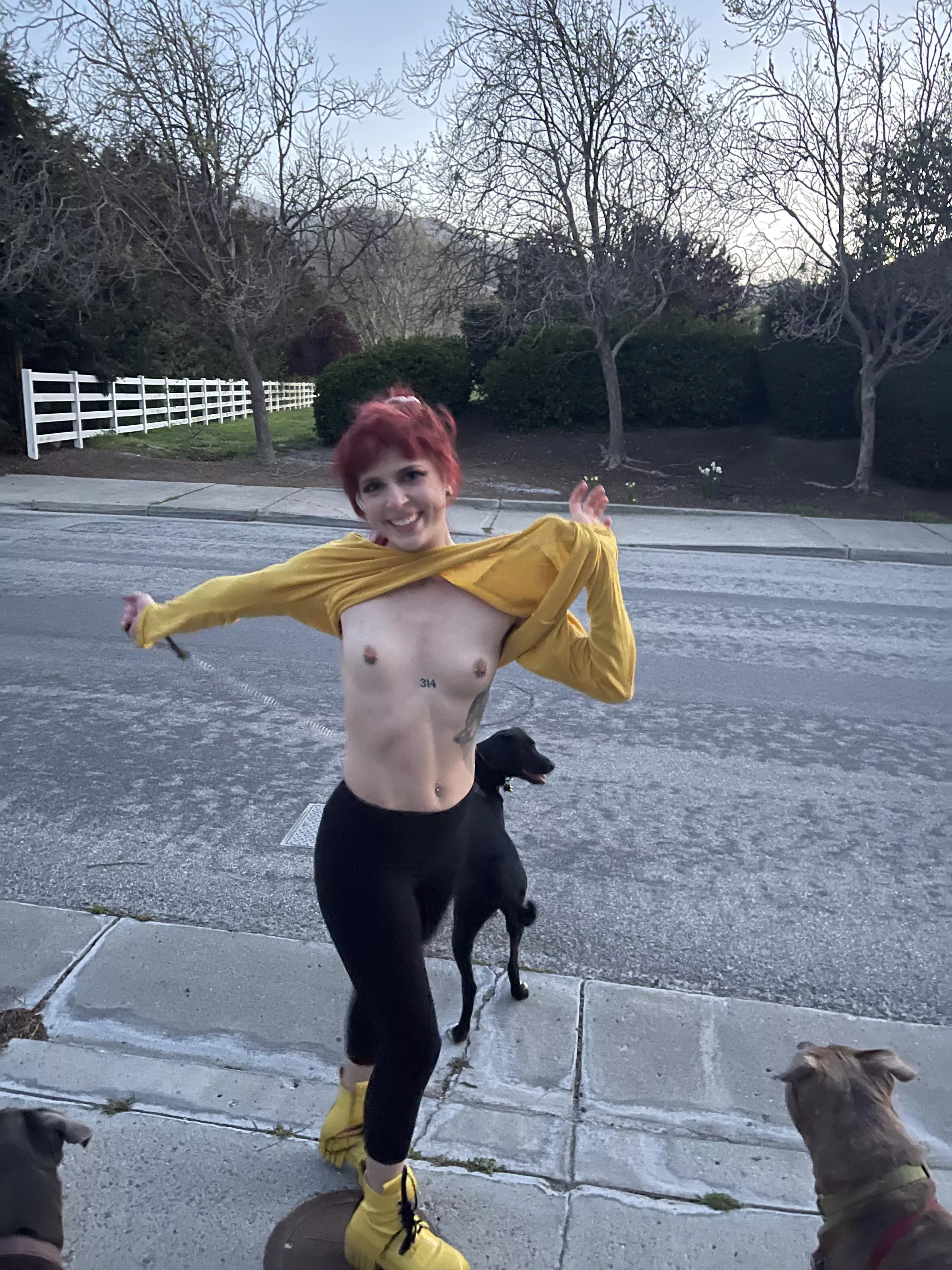 Anyone else get horny walking the dogs… or all the time? posted by randapanda423