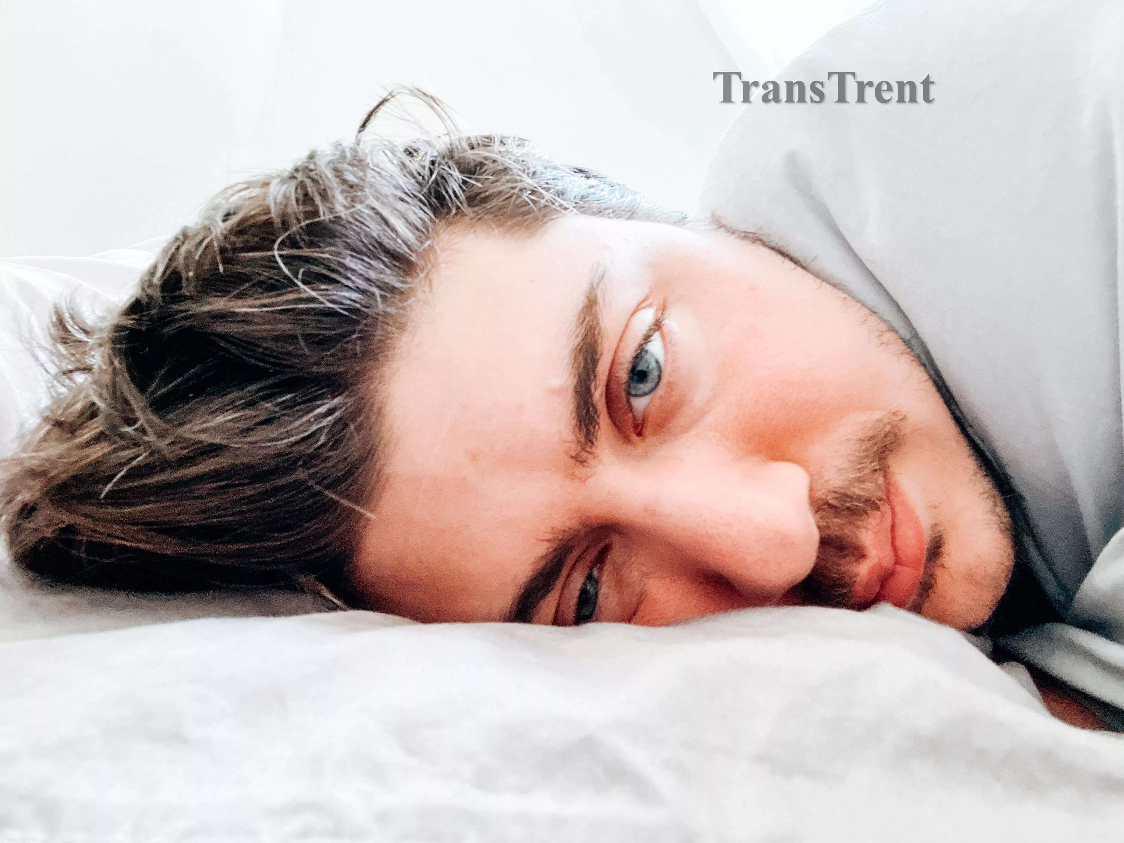 Anyone else have an exhausting week? BRB sleeping all weekend posted by TransTrent