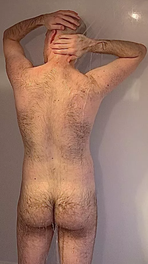 Anyone else keep his body hairy fluffy with shampoo and conditioner? posted by chandelierficus