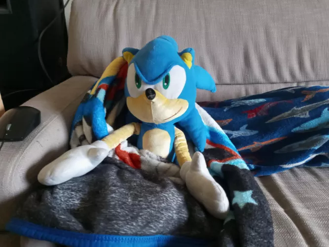 Anyone else like to make sure their cuddly friends are nice and comfy before leaving home? by PowderTails