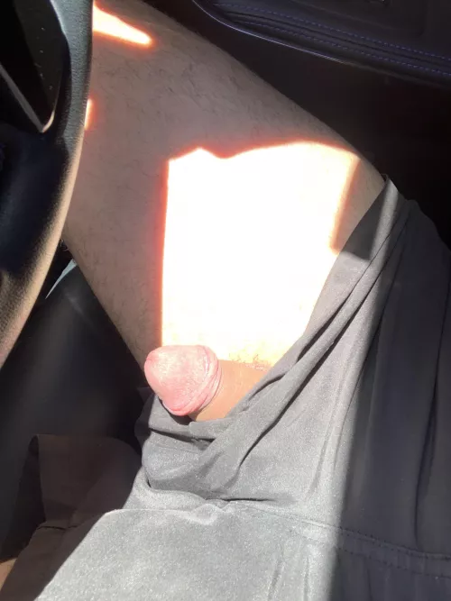 Anyone else love the warm sun on their cock and balls while truckers look ? by lookinguncut