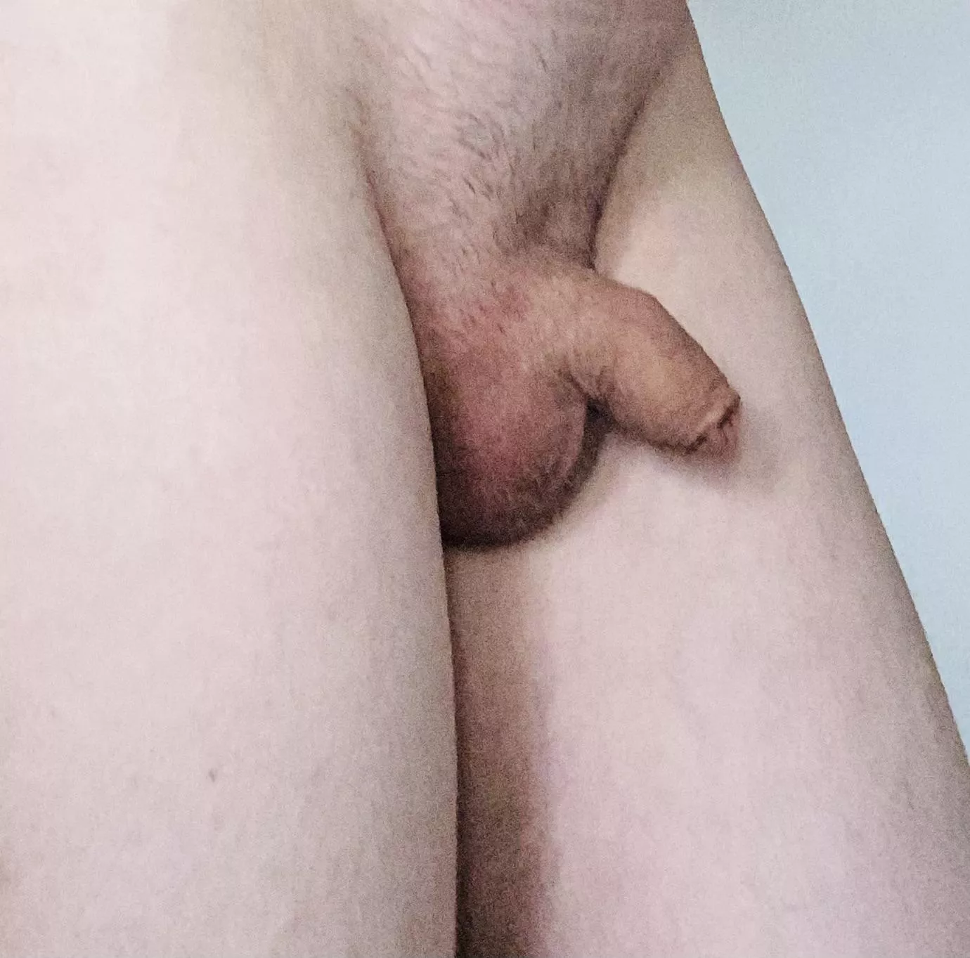 Anyone else prefer a tidy little package? [28] posted by Anonimi-T