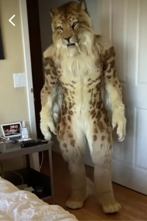 Anyone got any idea who’s fursuit this is? Found it on Facebook pet store page lmfao by CryptidUni