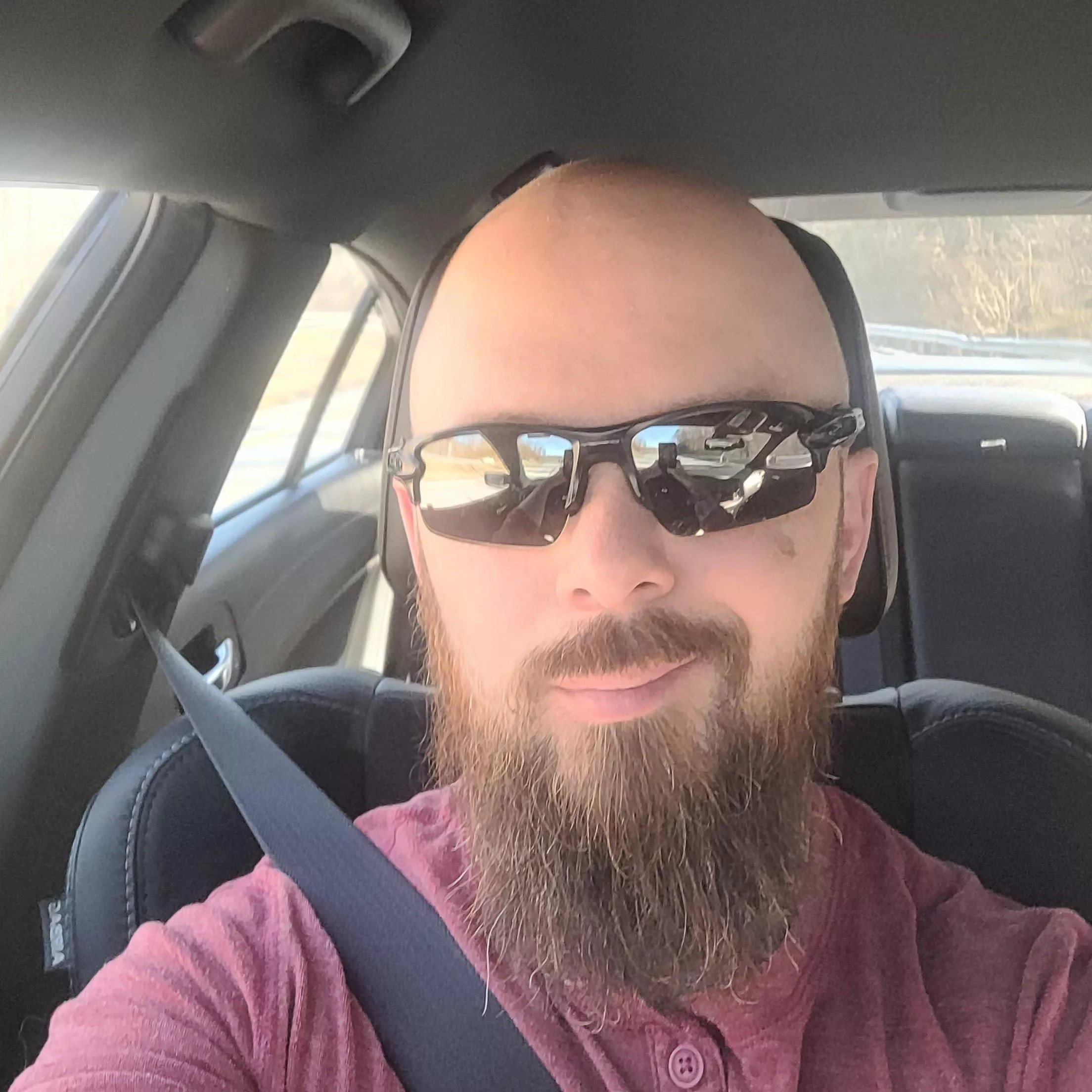 Anyone hungry for a lumber snack? posted by Level-Potential-8311