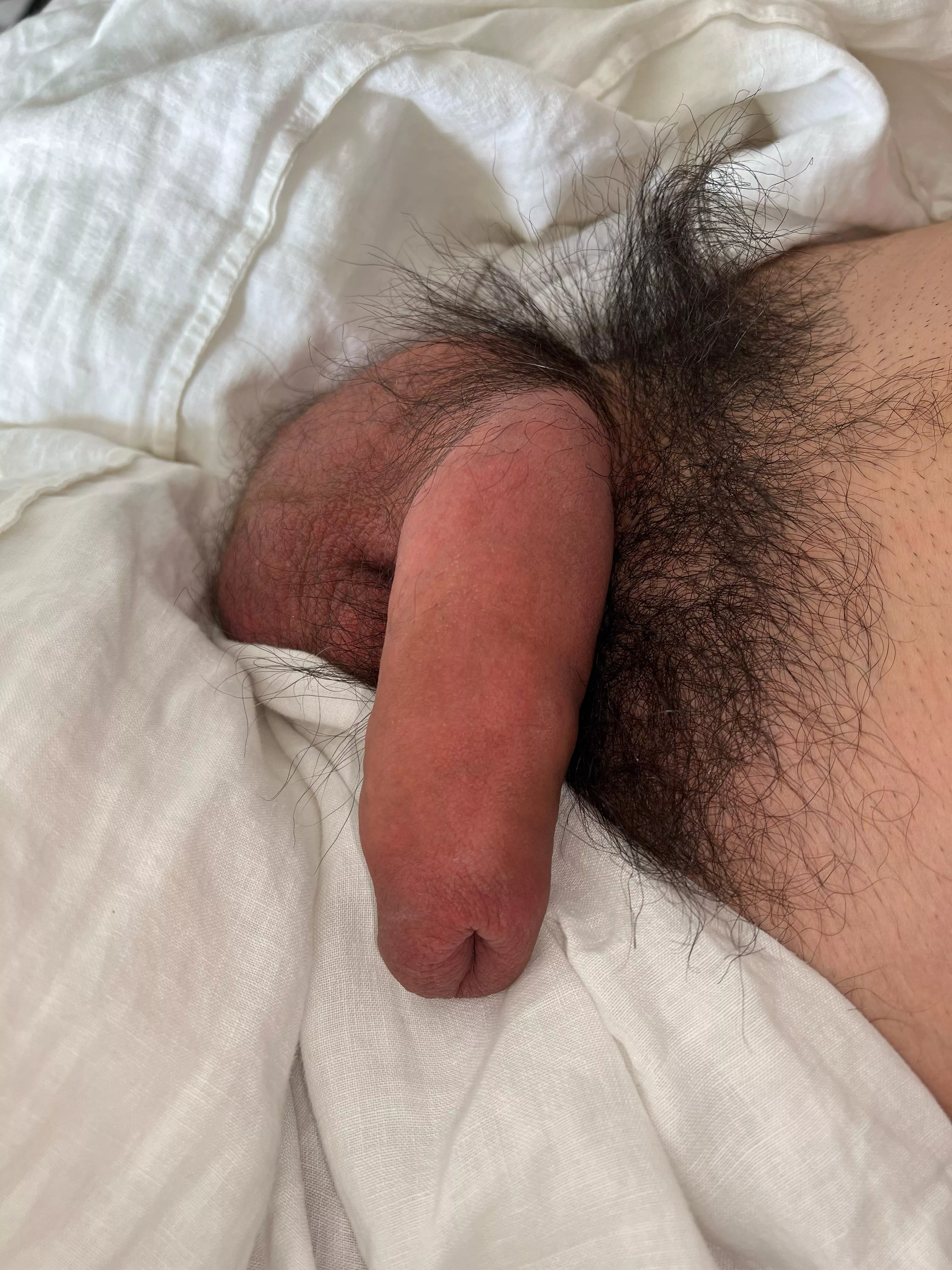 Anyone in Los Angeles? posted by NYChugeballs10