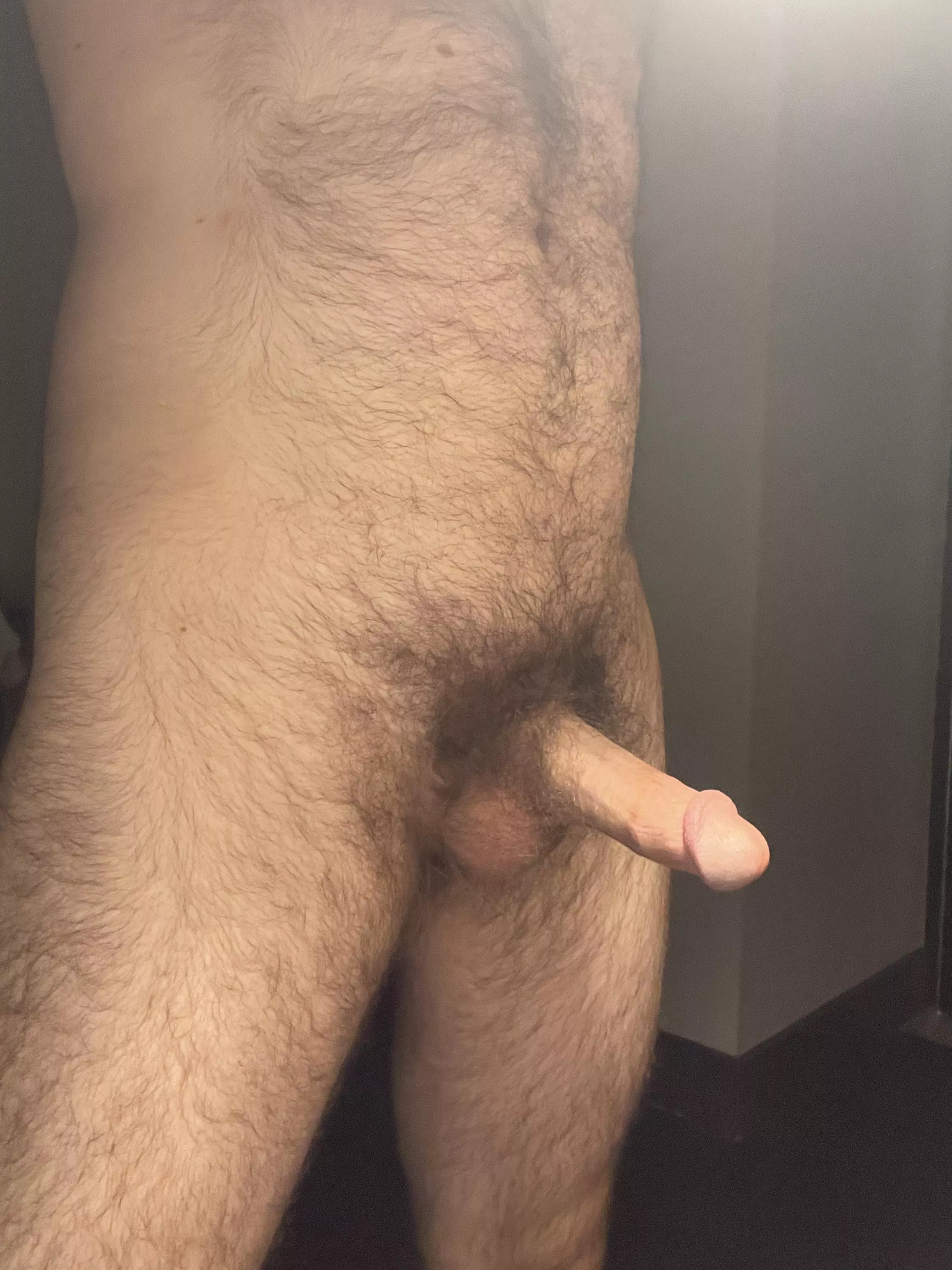 Anyone in need of hairy dick? posted by gay-throwaway-
