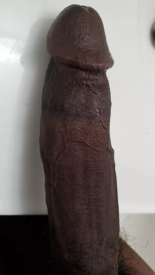 anyone in the mood for it? by thr0waway1232013211