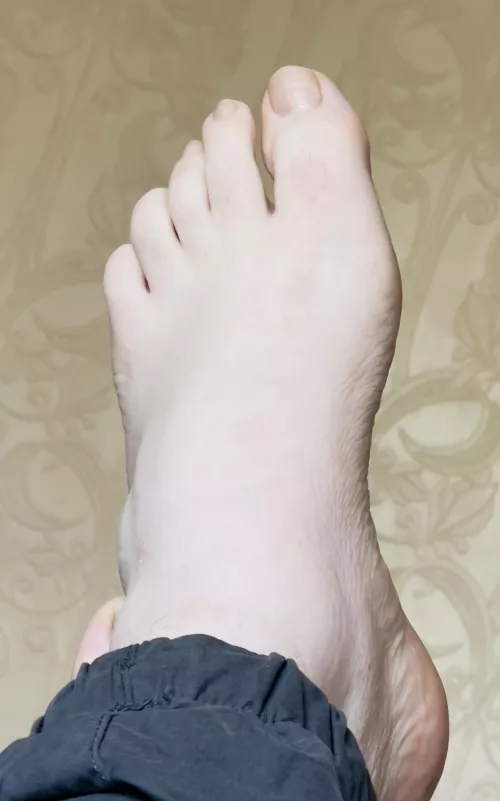 Anyone interested? 🙃 by Many_Recognition_701