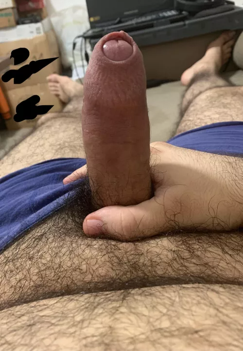 Anyone into uncut hairy bears? by brazilianbear1995