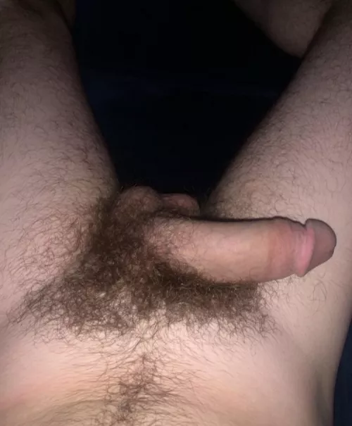 Anyone like a untrimmed pubes? 💪 by wetherreports