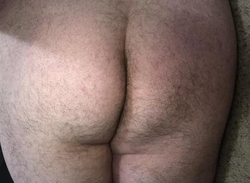 Anyone like bear ass? posted by rusty143