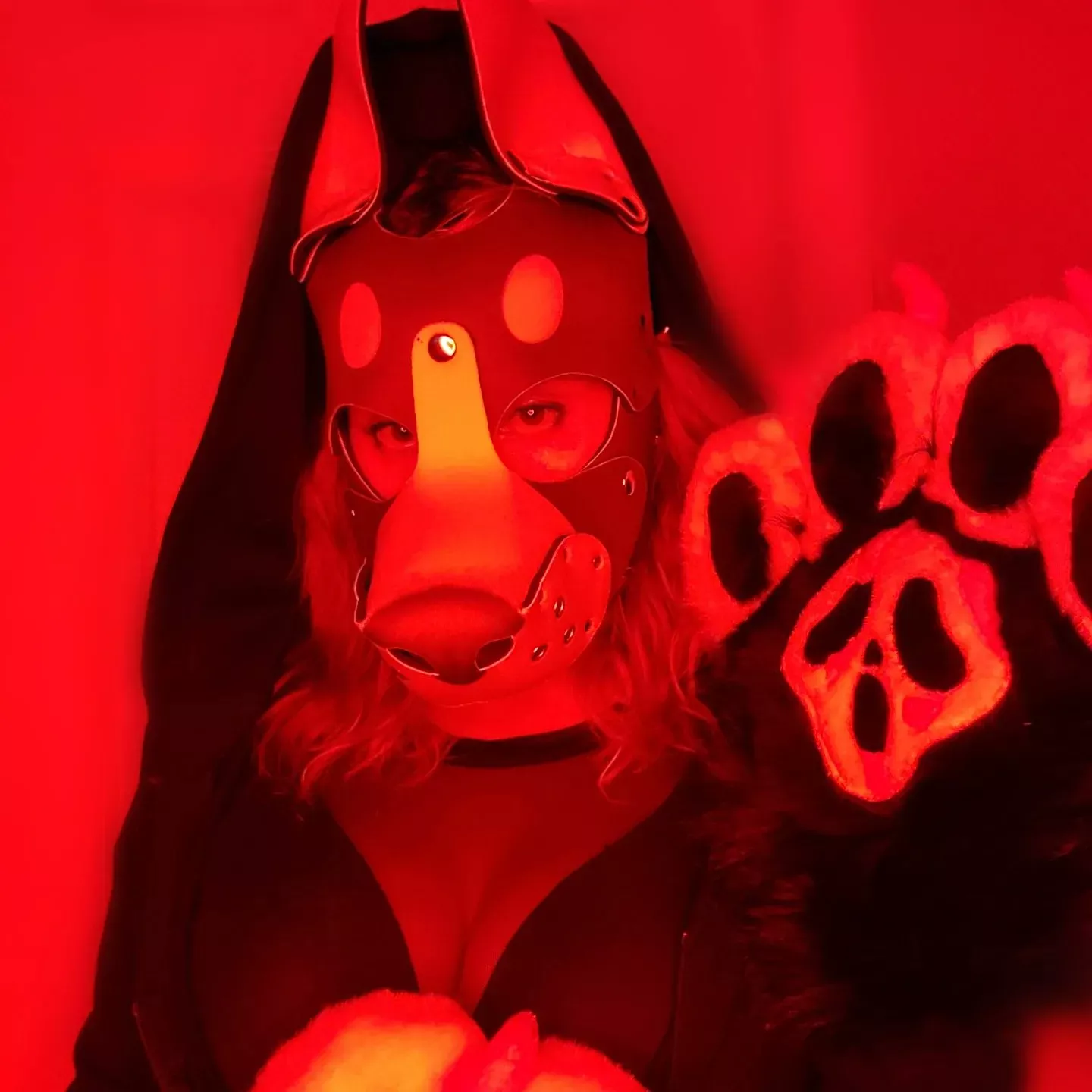 anyone like horror pups? posted by PuppyGirlfriend_