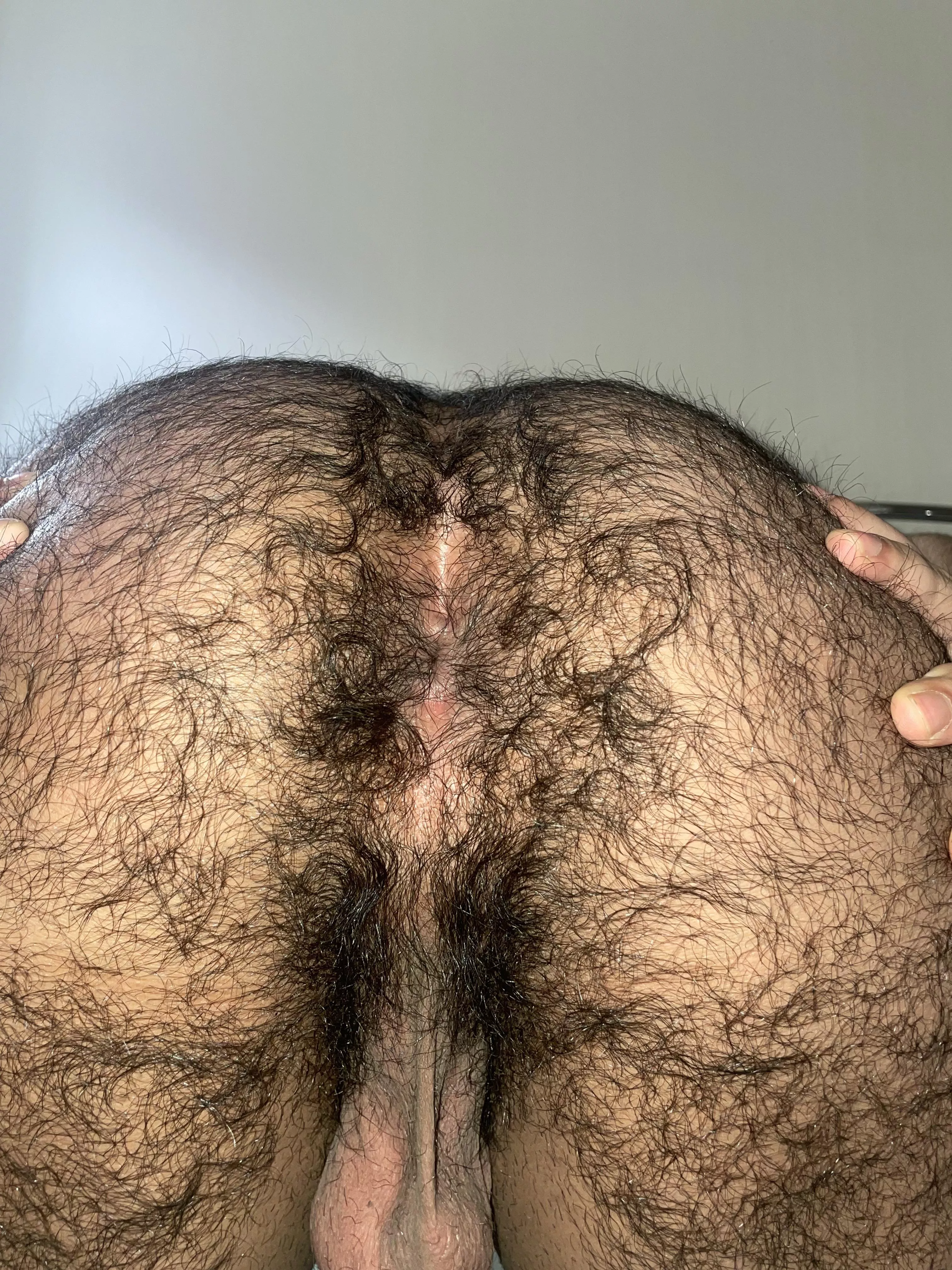 Anyone like it hairy? posted by Gayfuckdoll