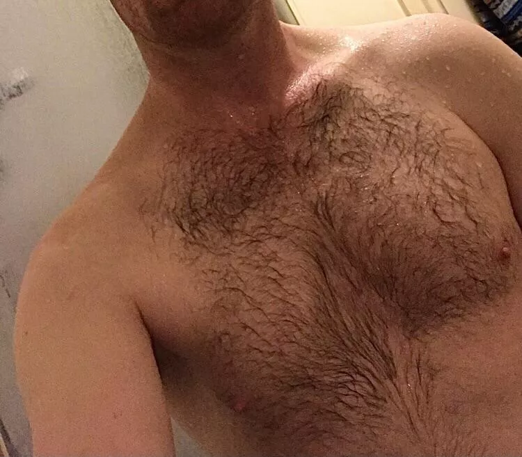 Anyone like my hairy chest posted by Virtual_Jellyfish_24