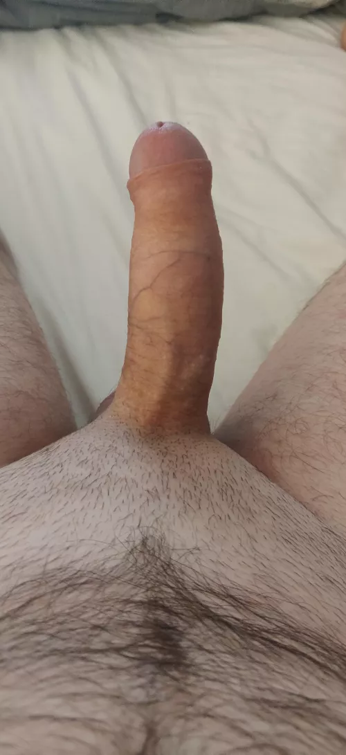 Anyone like the look of this? by EnvironmentalGur168