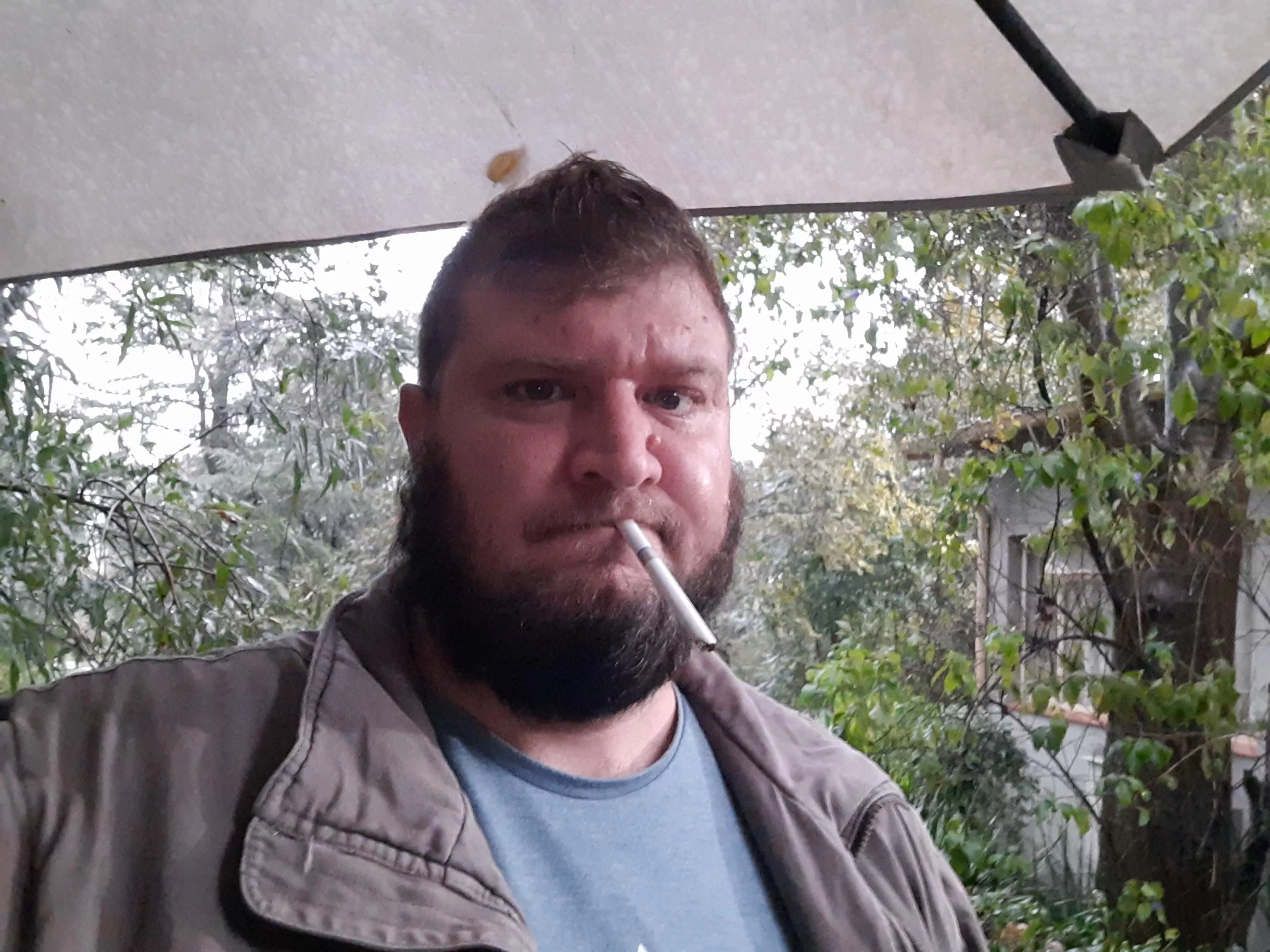 anyone wanna chat with a tipsy bear posted by 1ballharry