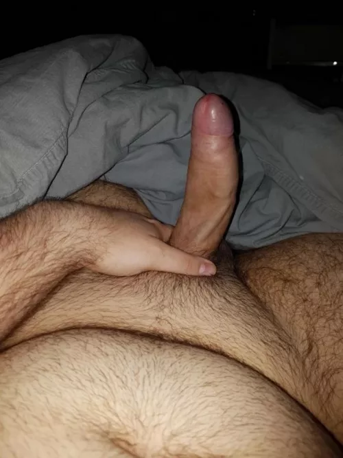 Anyone wanna come over for some cuddles ? :3 DMs open by Mekeke1917