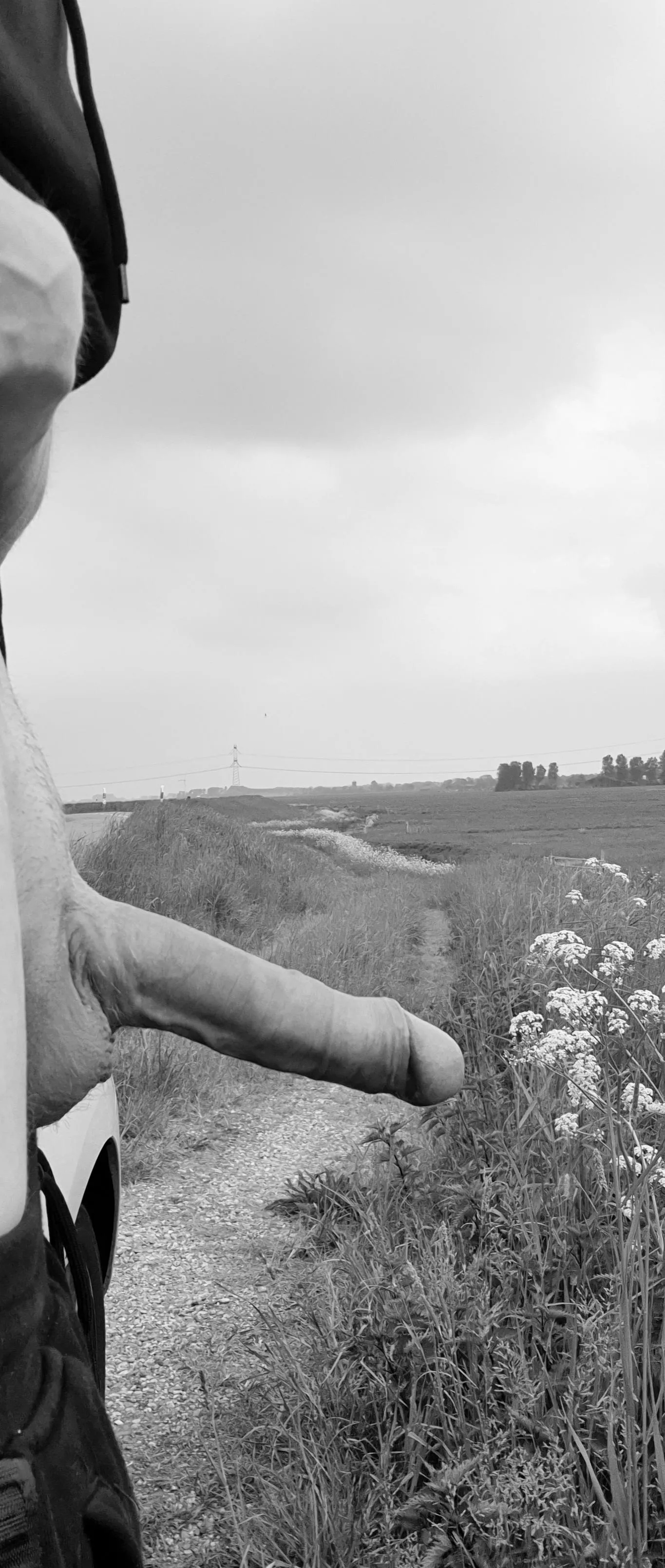 Anyone wanna join my walk? (m) posted by cassa-blanc