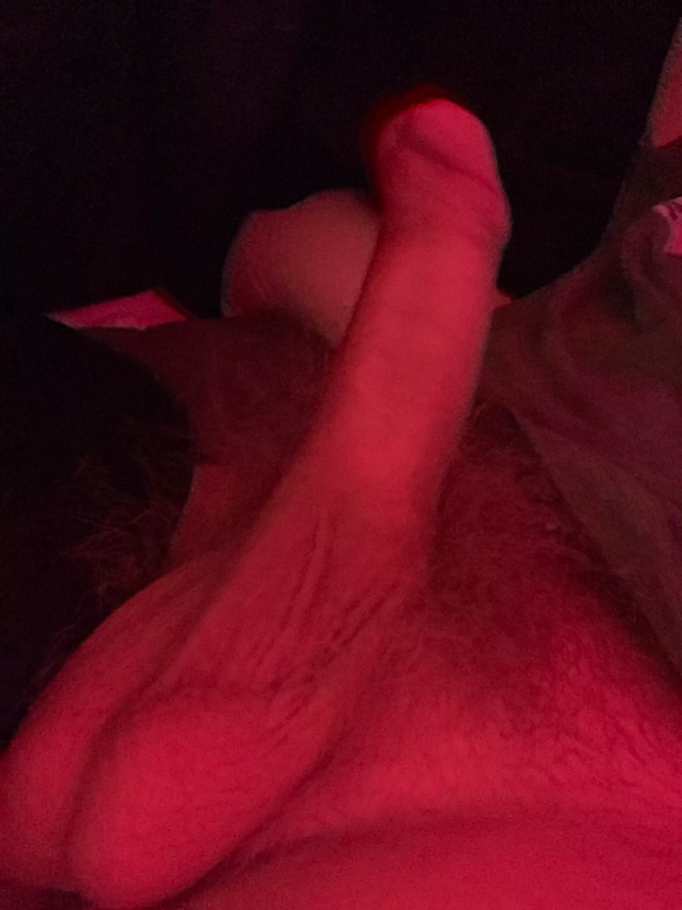 Anyone wanna lend me a mouth? posted by SmallDick_Dude