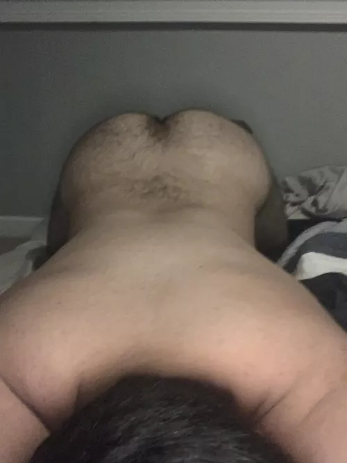 Anyone wanna open it up and stuff it? by EngineeringThink6121