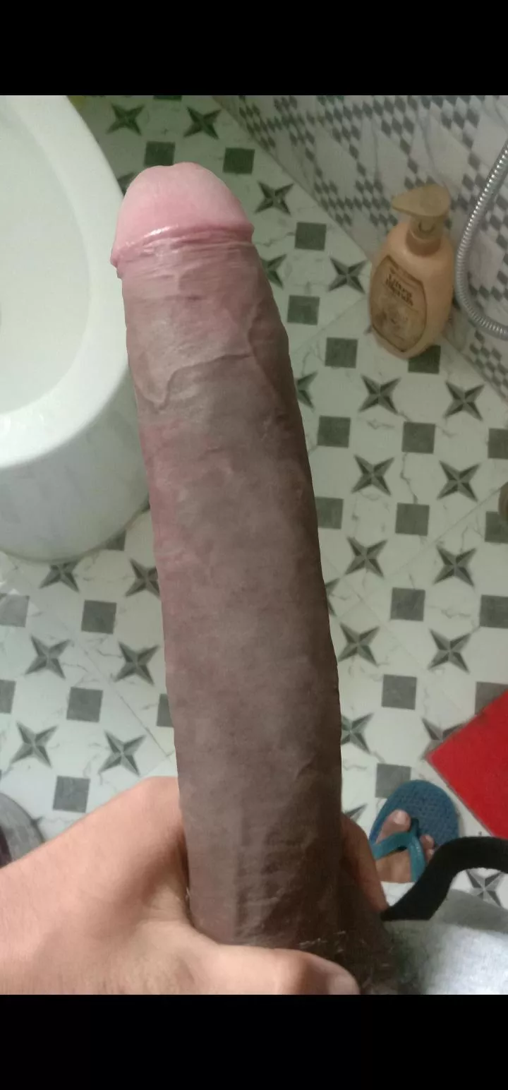 Anyone wanna ride on it? 😉 posted by ZackRyan01jeetdey