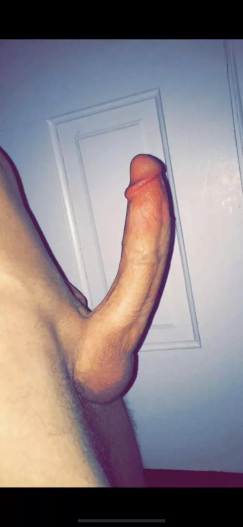 Anyone wanna take the ride😉 by dave483838